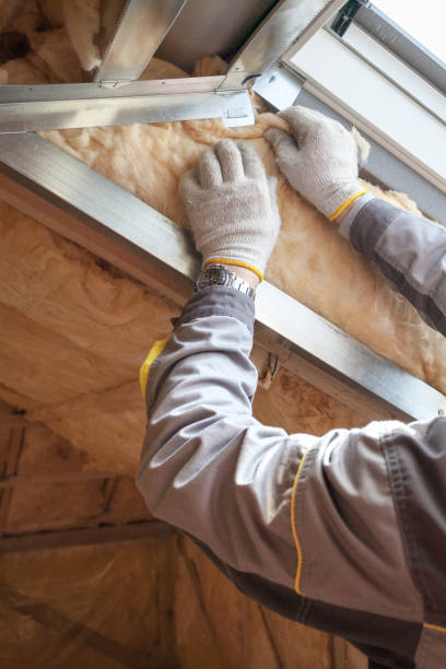 Best Insulation Removal  in Millington, TN